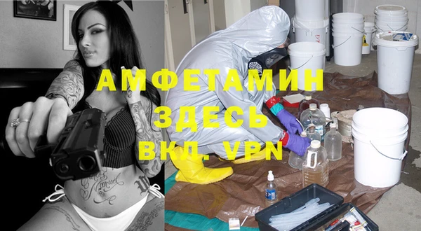 дмт Арсеньев