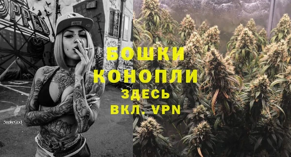дмт Арсеньев