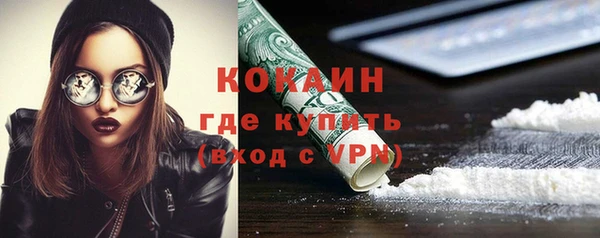 шишки Балабаново