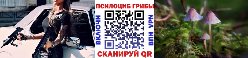 где продают   Клин  Галлюциногенные грибы ЛСД 