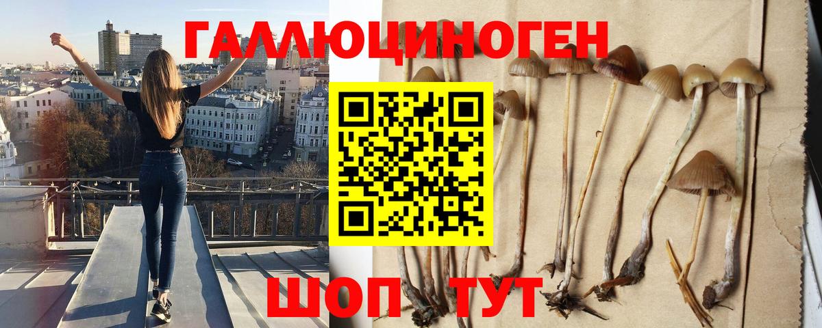 Псилоцибиновые грибы MAGIC MUSHROOMS Клин