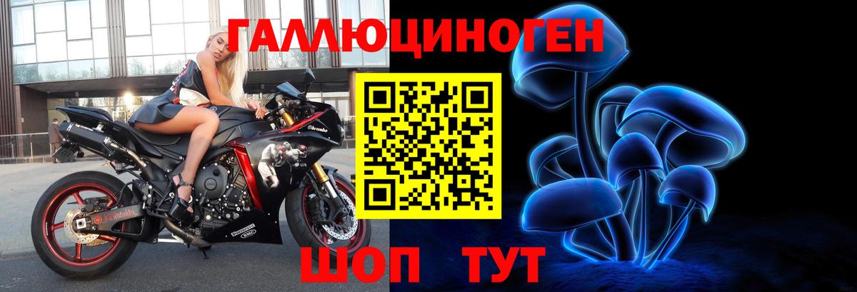 Псилоцибиновые грибы GOLDEN TEACHER  Вход с VPN  Клин 