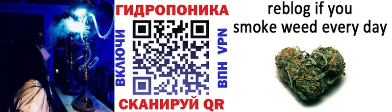 Шишки марихуана планчик  цена   Клин 